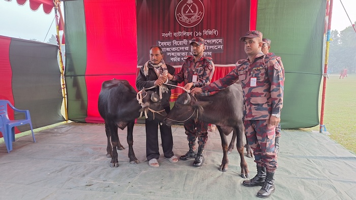 বৈষম্য বিরোধী আন্দোলনে আহত নাহিদের পরিবারকে বিজিবির মহিষ প্রদান